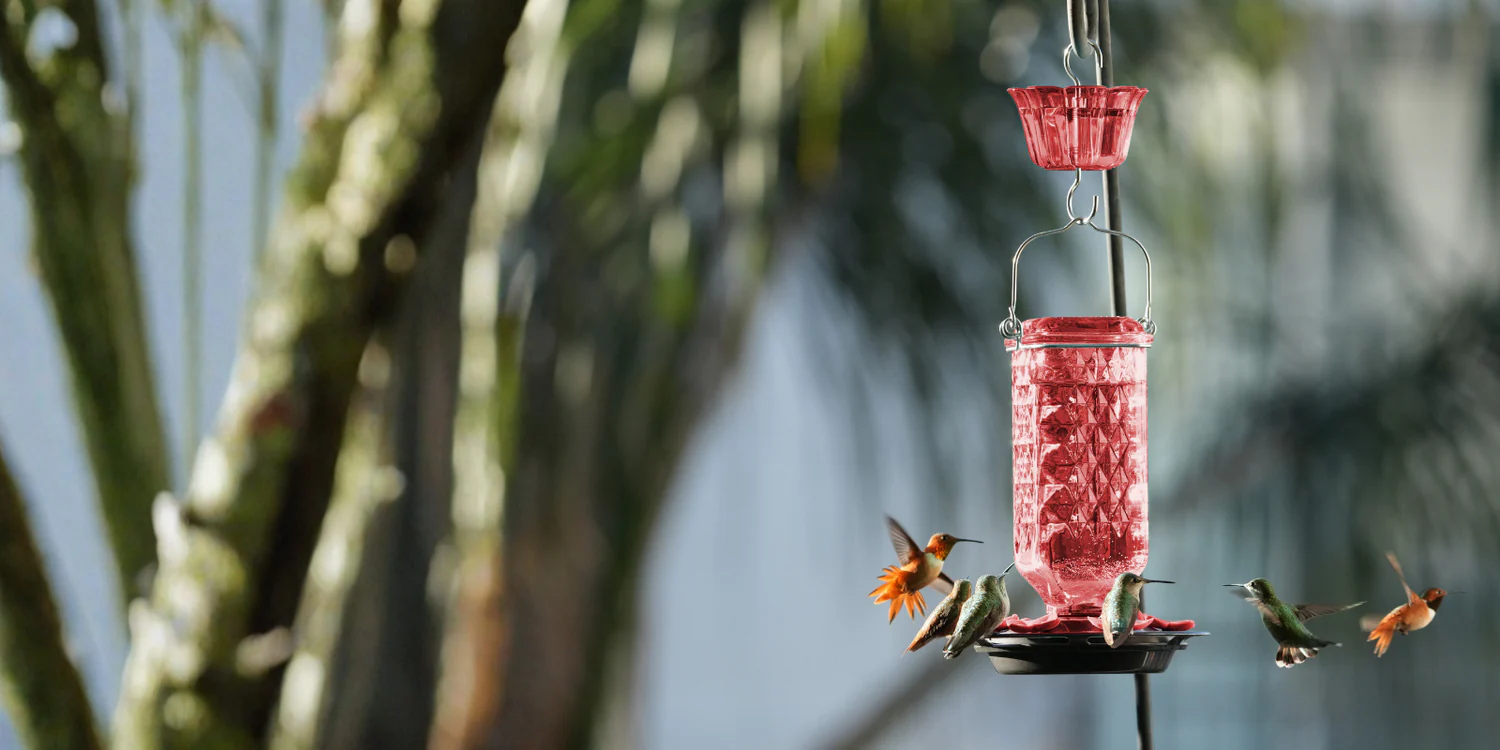Welcome Nature to Your Garden